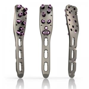 Locking Plate Orthopedic Implant